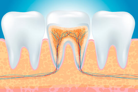 Root Canal Temp